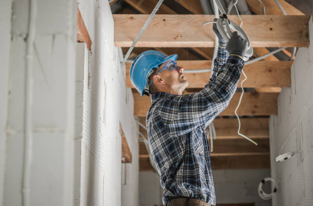 Best Local Electrician Companies  in Paloma Creek, TX